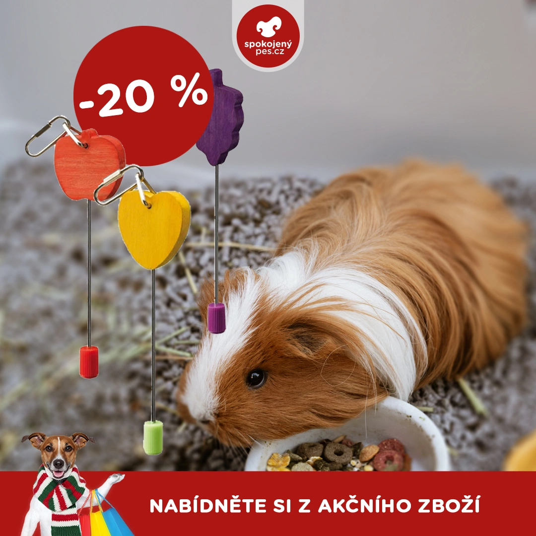 akční leden17.webp